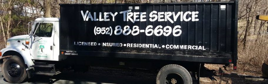 valley tree service, tree trimming, stump removal, emerald ash borer, mn, minnesota, apple valley, burnsville, rosemount, lakeville, prior lake, south metro, twin cities, tree removal, tree diagnosis, tree protection, apple tree, tree removal, shrub removal